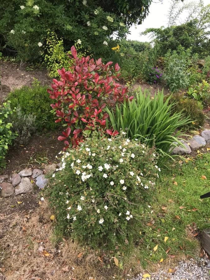 شقة Pat'S Place Ballaghaderreen المظهر الخارجي الصورة